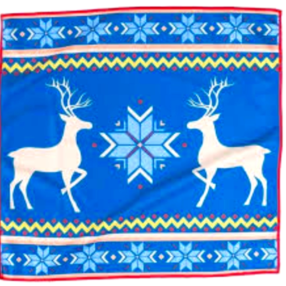 Norwex windowcloth, nordic limited edition.